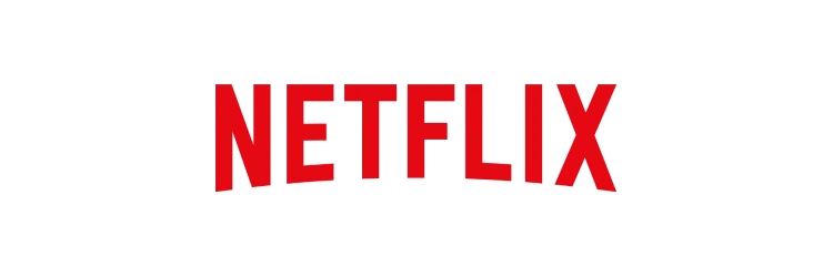 netflix channel